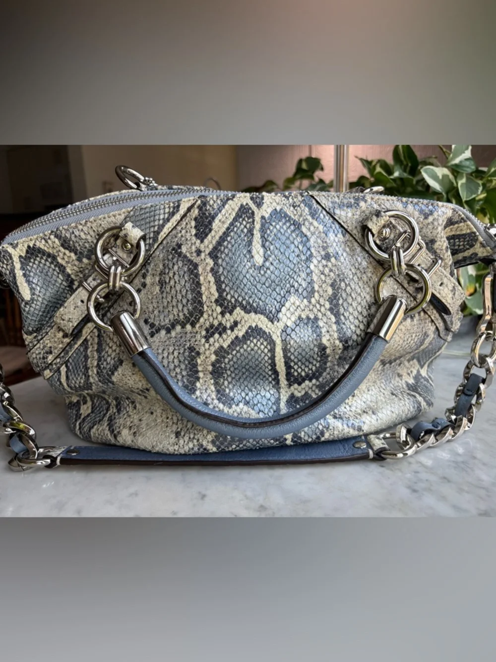 Coach Python-Print Leather Shoulder Bag in Blue, Gray and Cream